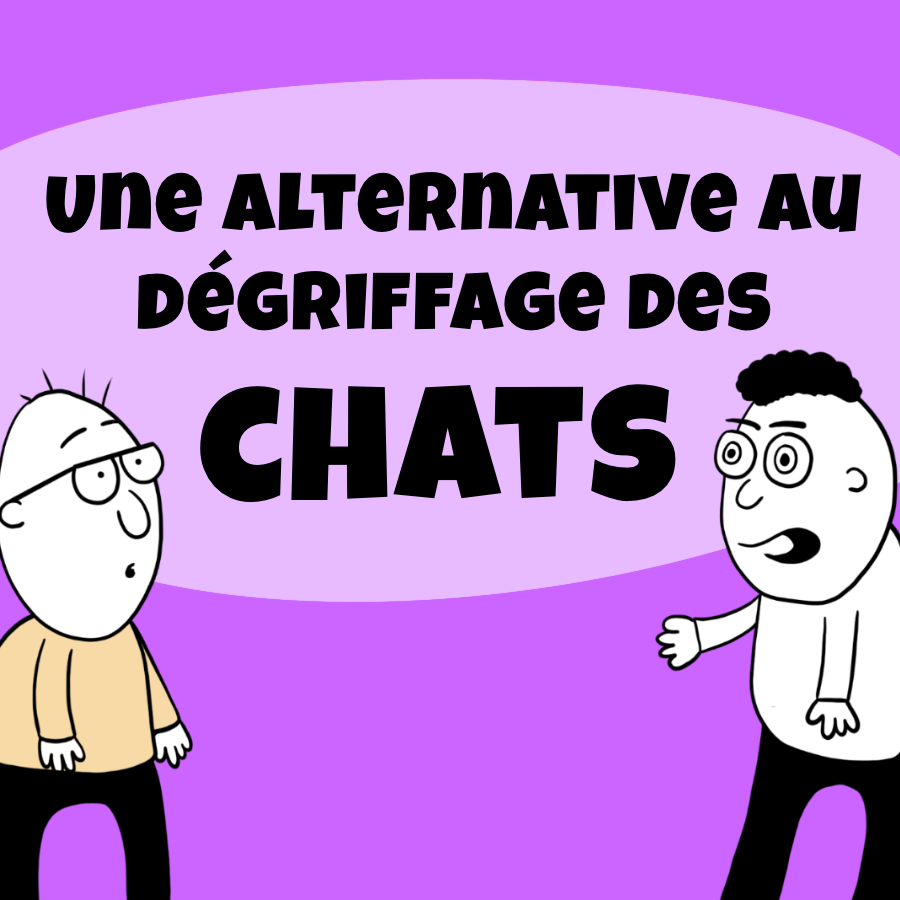 Une alternative au dégriffage des chats